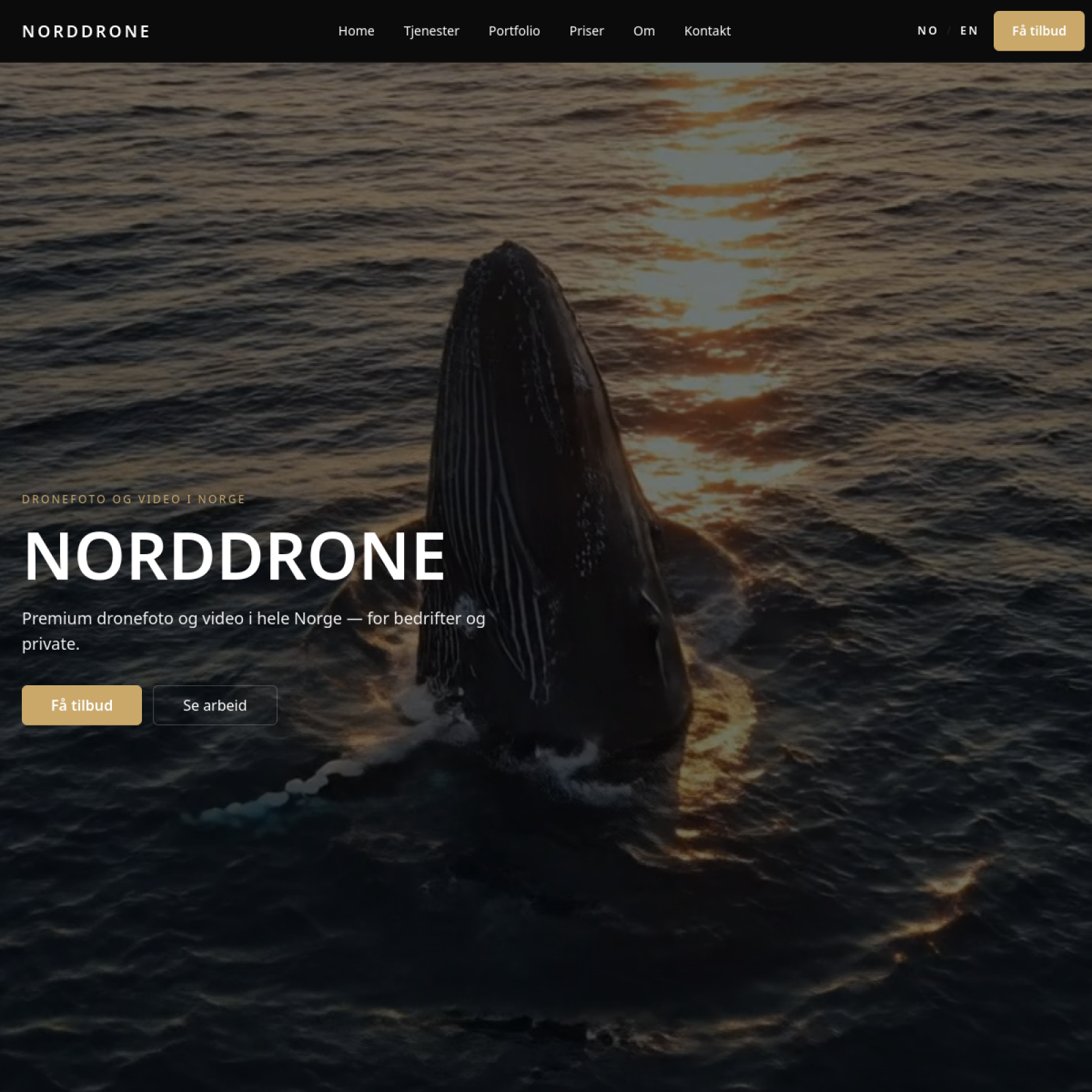 Norddrone homepage
